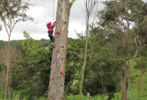 Niña escalando un árbol con equipo de seguridad durante una actividad de educación experiencial en Arawak Galilea