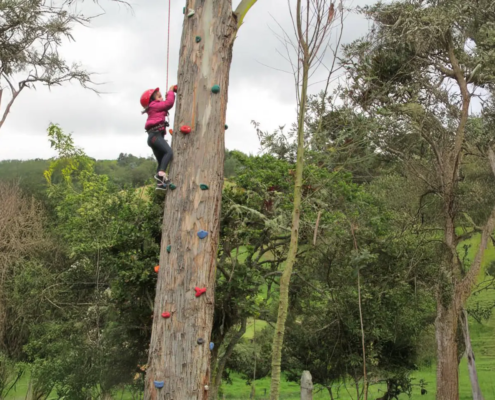 Niña escalando un árbol con equipo de seguridad durante una actividad de educación experiencial en Arawak Galilea